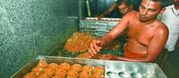 Tirupati Laddoo: Is Ghee Adulterated with Beef and Fish Oil?